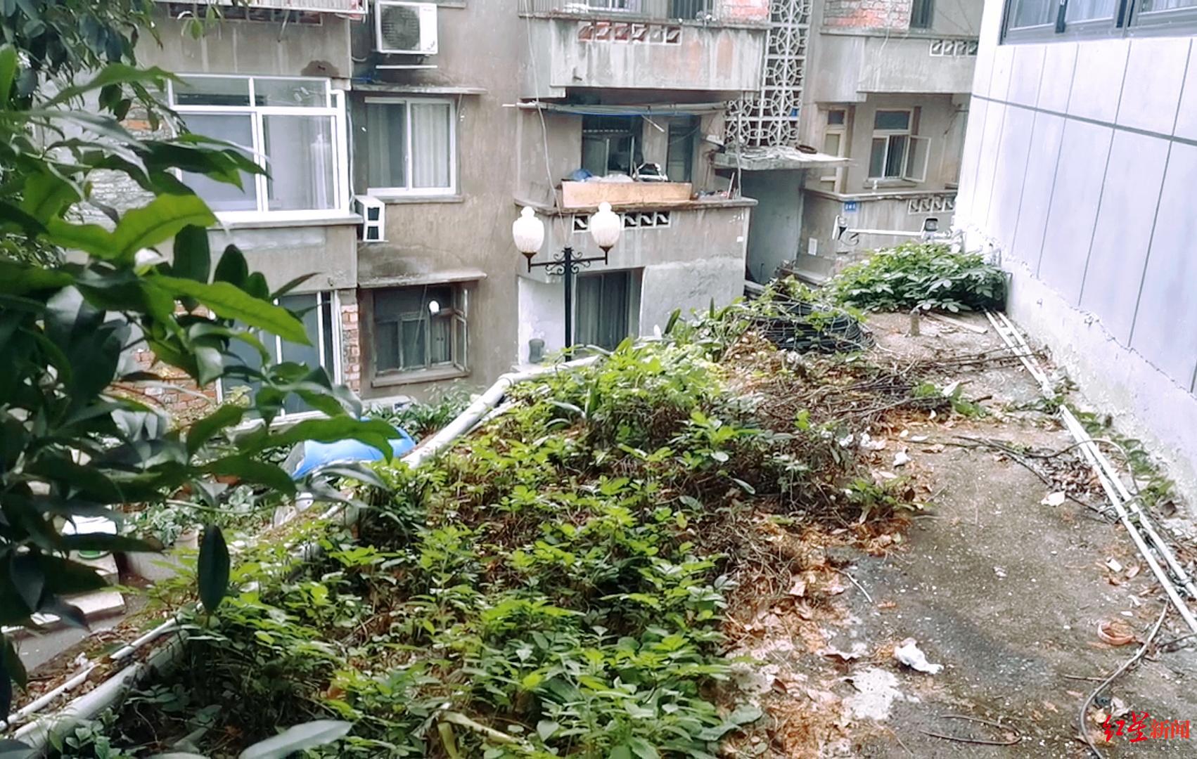 男教師指認(rèn)猥褻現(xiàn)場(chǎng)墜亡事件，反思與警示