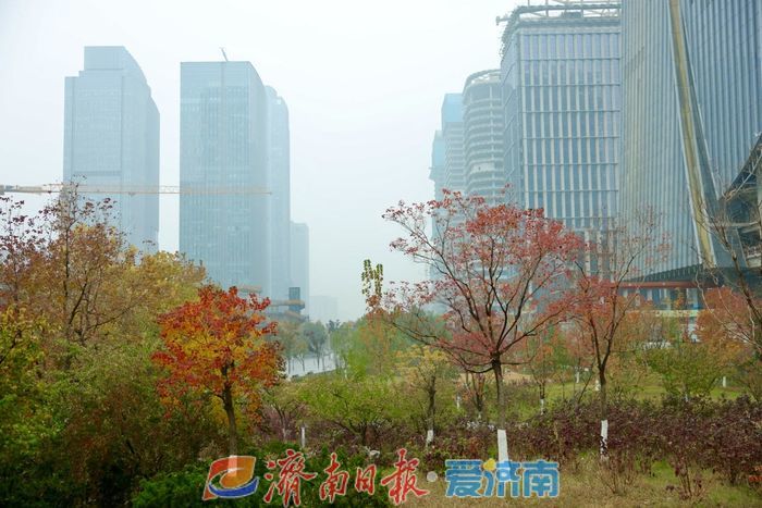 濟(jì)南CBD初冬美景如詩(shī)如畫解鎖風(fēng)采