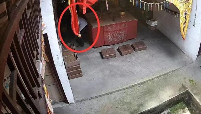 男子盜竊寺廟功德箱事件，反思與啟示