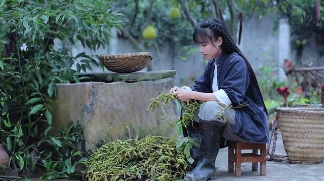 李子柒現(xiàn)象，青少年不應盲目崇拜網(wǎng)紅，追求真實夢想之路