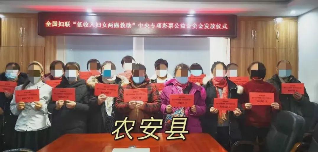 社會(huì)救助體系，關(guān)注低收入人群，助力構(gòu)建公平社會(huì)