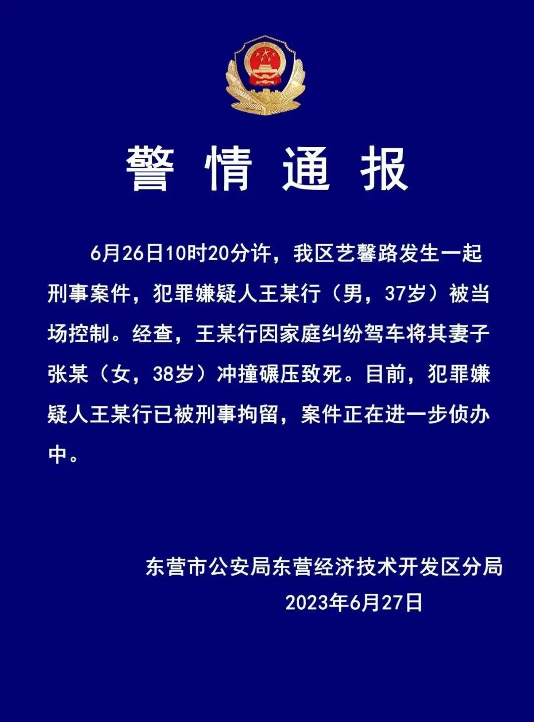 家庭暴力悲劇，男子家暴致妻子死亡，引發(fā)深刻反思
