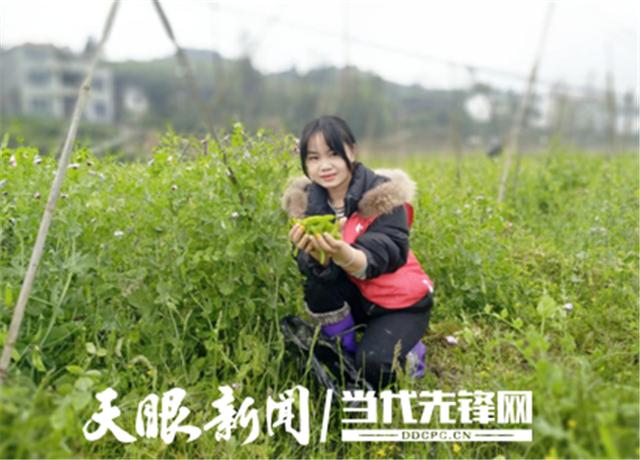 大學(xué)生實習(xí)權(quán)益保護關(guān)注度飆升