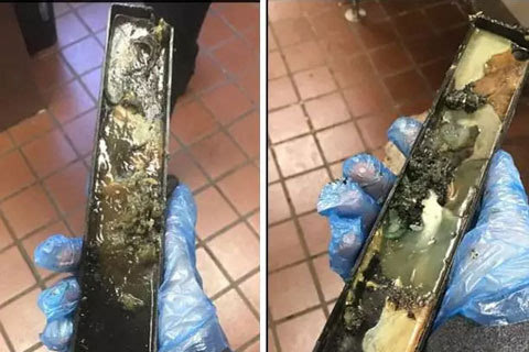 酒店窗臺(tái)上的化石，揭開古老秘密的奇遇之旅