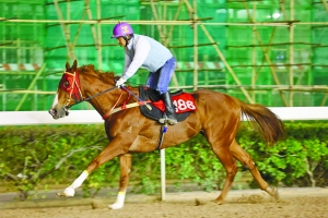 2024澳門(mén)特馬今晚開(kāi)獎(jiǎng)138期,實(shí)踐調(diào)查解析說(shuō)明_8DM98.768