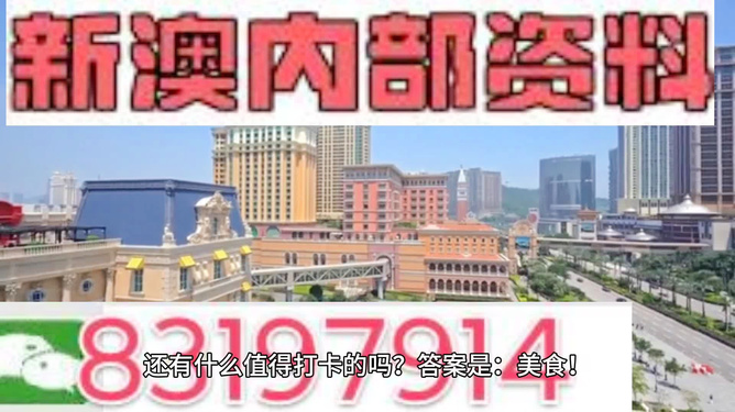 新澳門正版免費大全,持續(xù)解析方案_游戲版69.802