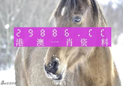 澳門一肖一特100精準(zhǔn)免費(fèi),專業(yè)解析說明_UHD02.489