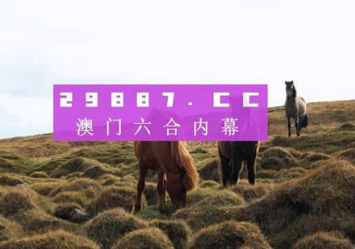 494949澳門今晚開獎什么,決策資料解釋落實(shí)_Tablet83.798