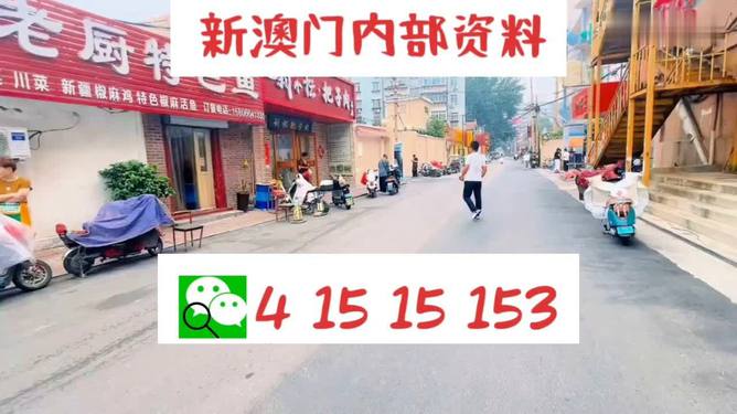 2024澳門天天開好彩大全下載,科技成語分析落實(shí)_suite84.026