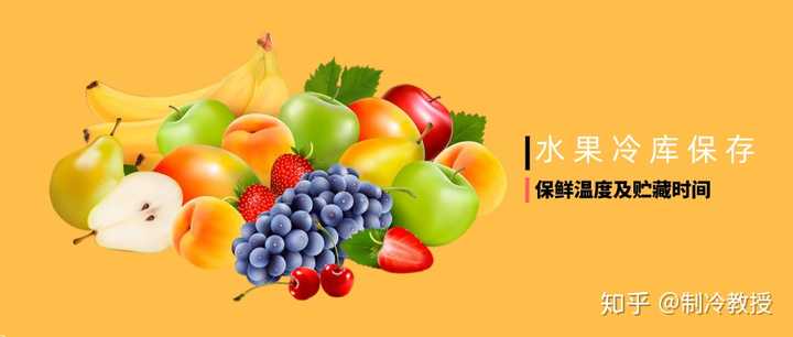 水果儲存溫度選擇技巧詳解