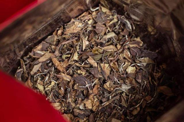 茶葉儲存防潮防味技巧解析