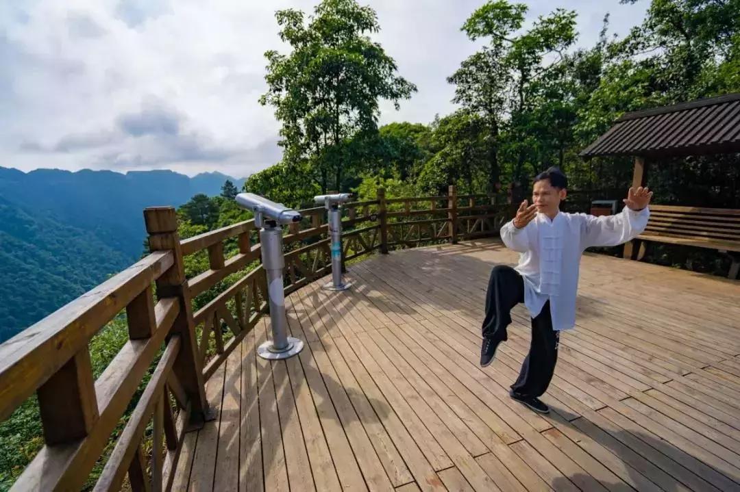 每日冥想，減壓增免的秘密武器