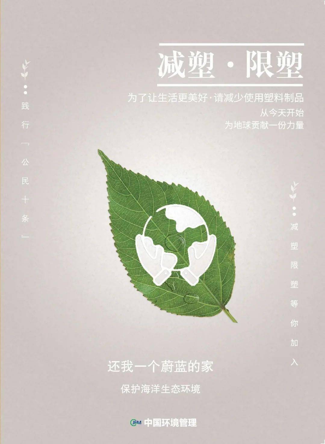 踐行綠色生活，食品包裝減少的重要性與行動策略