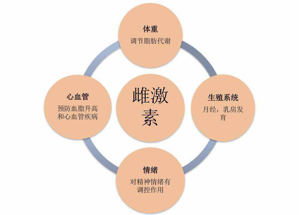 養(yǎng)生食譜，調(diào)節(jié)女性體內(nèi)激素平衡之道