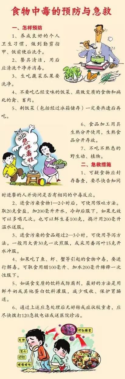 旅行安全必備，食物中毒預(yù)防與防護(hù)指南