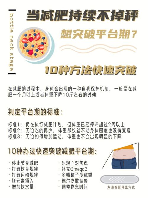 旅行中如何保持健康體重與合理飲食管理