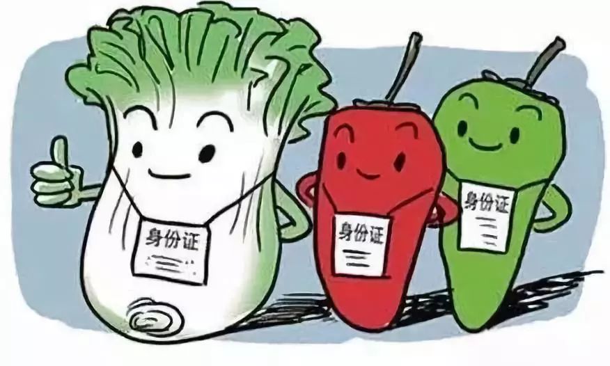 健康食品選擇指南，旅行中避免消化不良