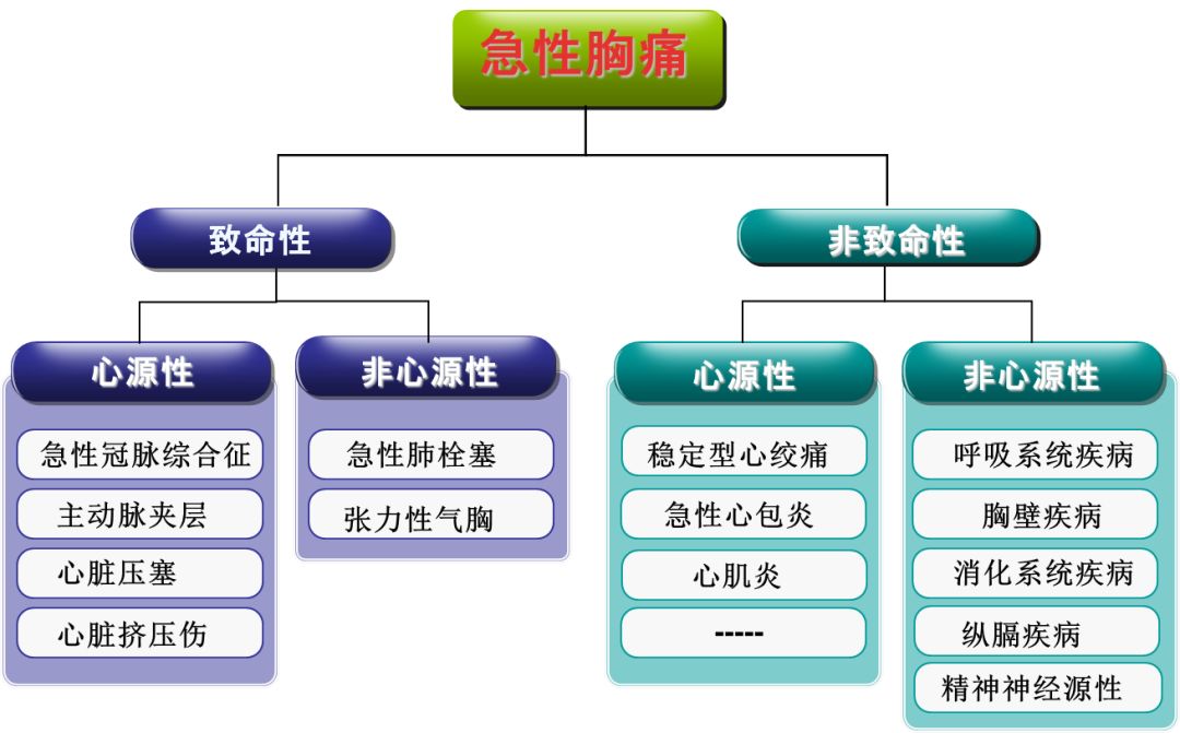急性胸痛急救措施與處理技巧全解析