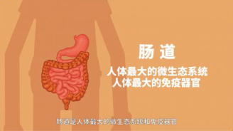 中醫(yī)養(yǎng)生法，提升腸道健康之道