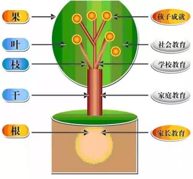家庭教育與孩子社交能力的深度關(guān)聯(lián)，實踐策略探討