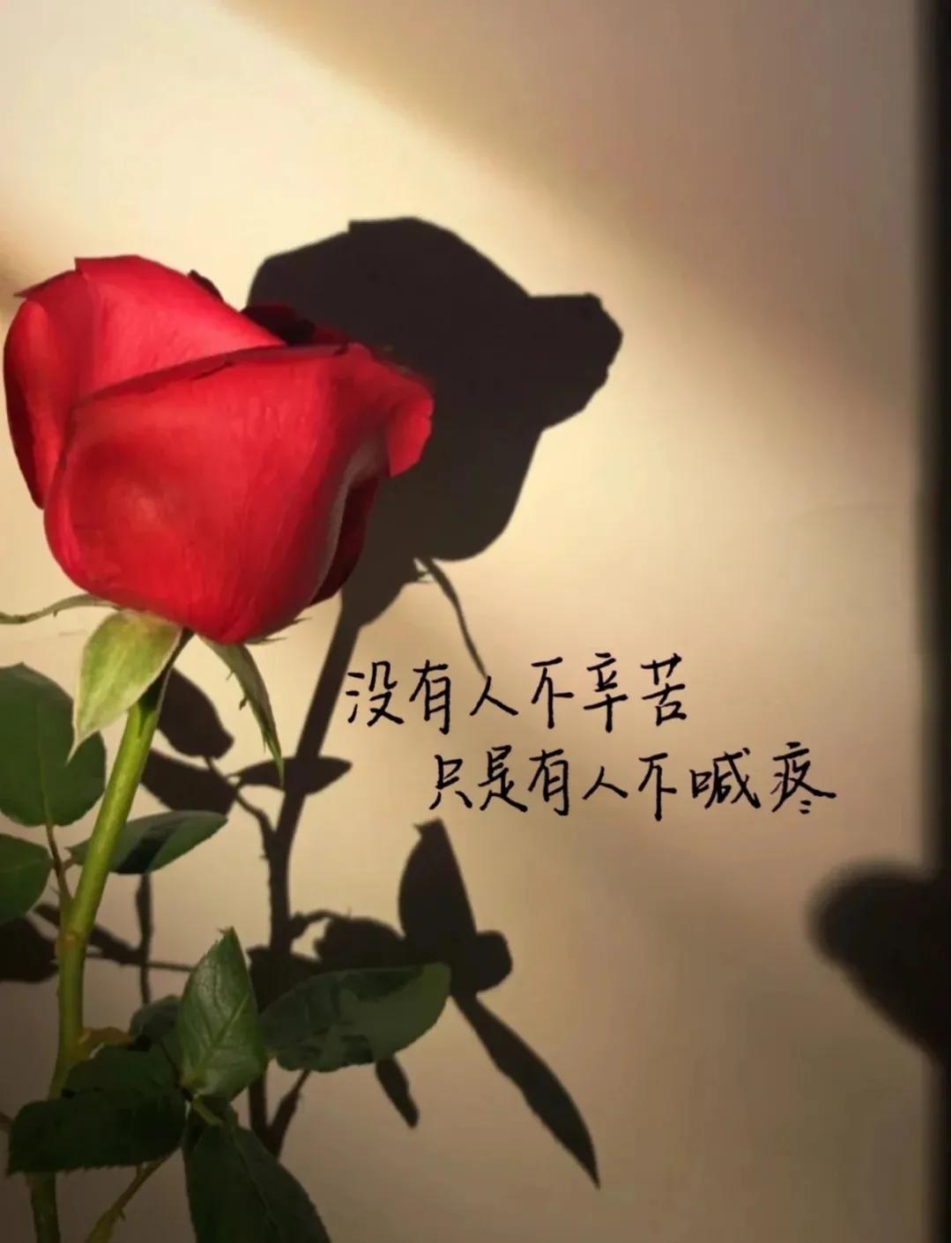家庭教育對孩子情感表達能力的影響探究