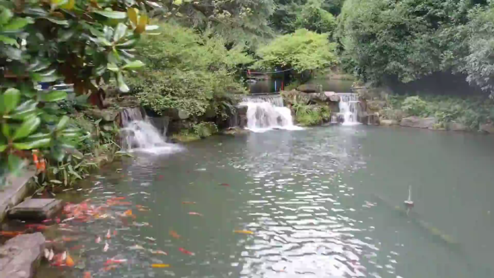 跨省旅游恢復(fù)與景區(qū)接待能力提升，旅游業(yè)復(fù)蘇在望之路