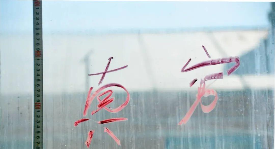 刑警揭秘，鶴崗大案真相浮出水面