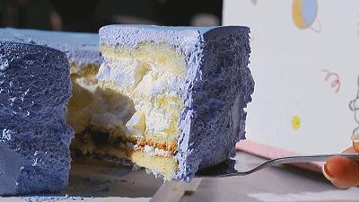 壯觀景象，一級保護(hù)動(dòng)物專注干飯，30余頭動(dòng)物盡享美食時(shí)光