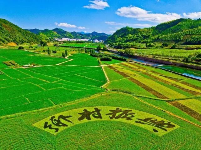 智慧農業(yè)技術引領鄉(xiāng)村經濟振興之路