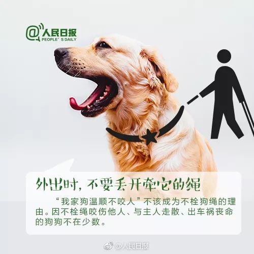 專家回應(yīng)狗中毒死亡事件，呼吁加強(qiáng)寵物安全與公眾教育措施