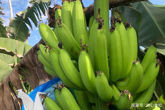 久久婷婷五月綜合色國產(chǎn)香蕉,完善管理全面掌控_領航版31.08.97