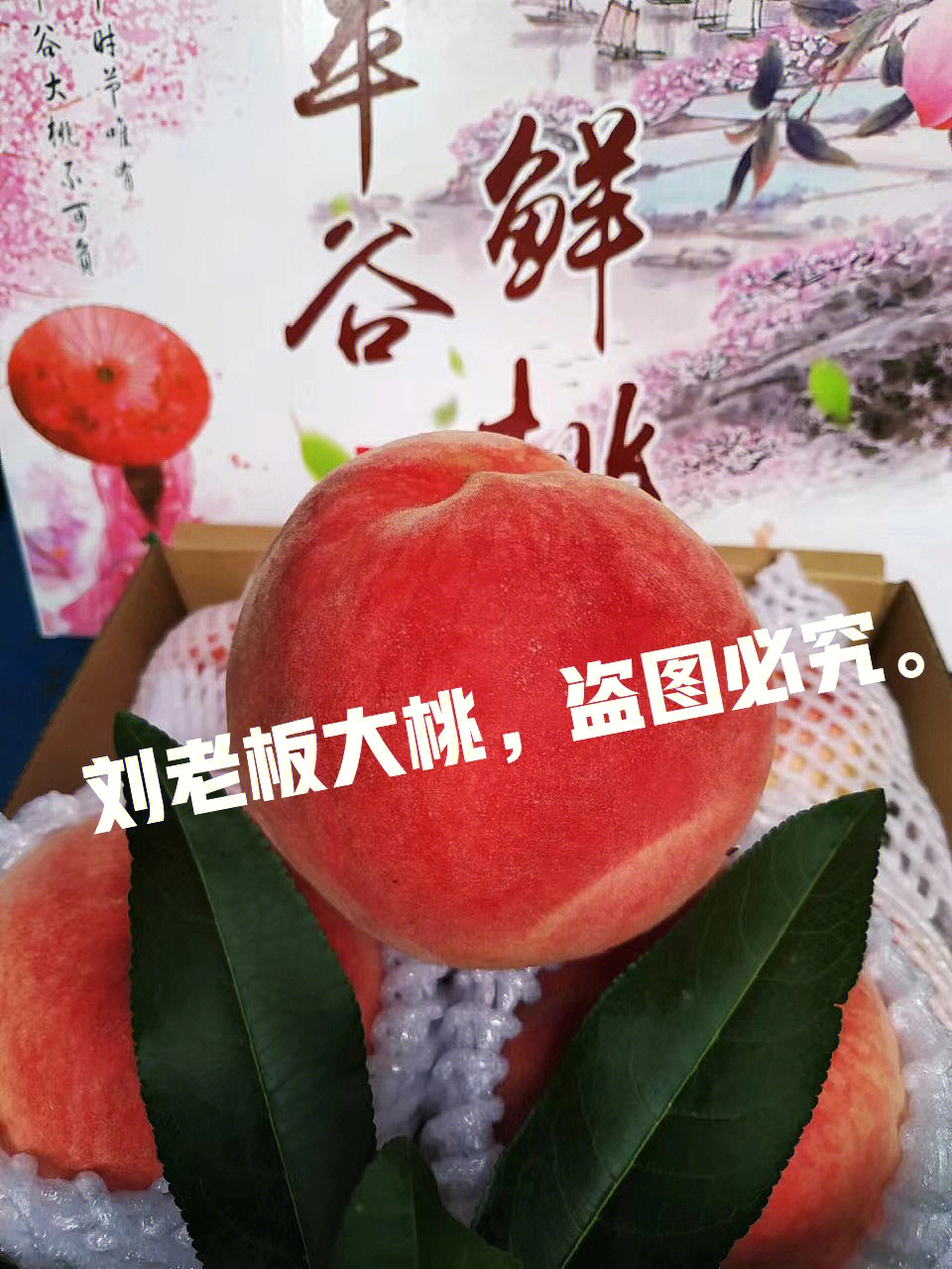 精品久久久久久777米琪桃花,智能路徑優(yōu)化精準實施_智云版38.36.92