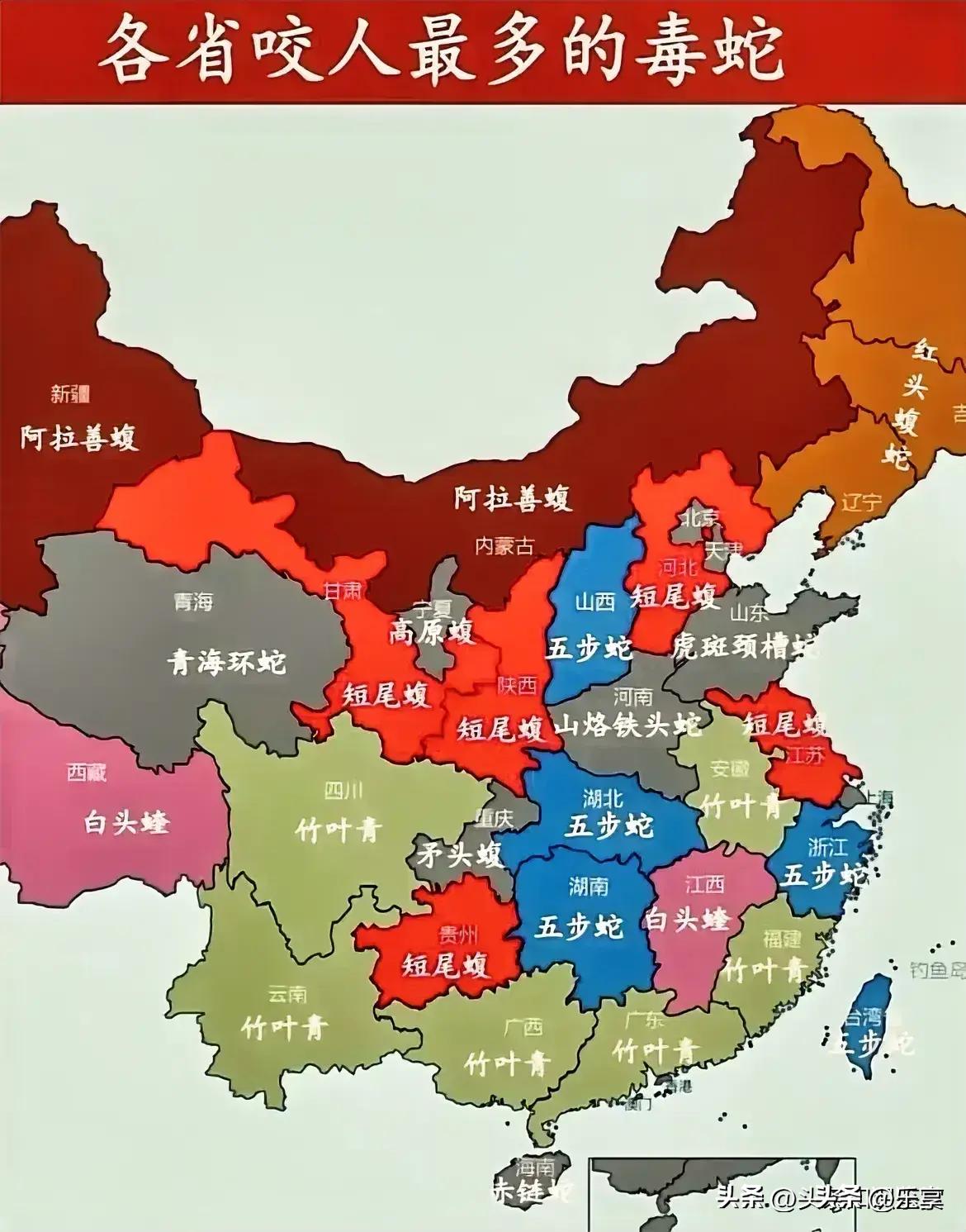 國(guó)產(chǎn)一線(xiàn)二線(xiàn)三線(xiàn)女,全程掌控策略升級(jí)_星銳版74.76.33