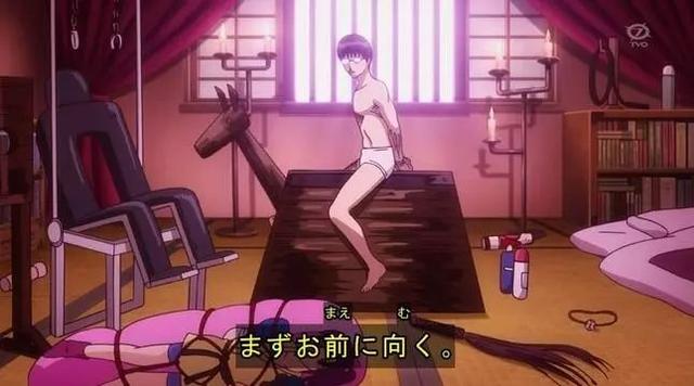 日本sm/羞辱/調(diào)教/捆綁視頻,科技實(shí)踐應(yīng)用實(shí)施_飛翔版06.38.96