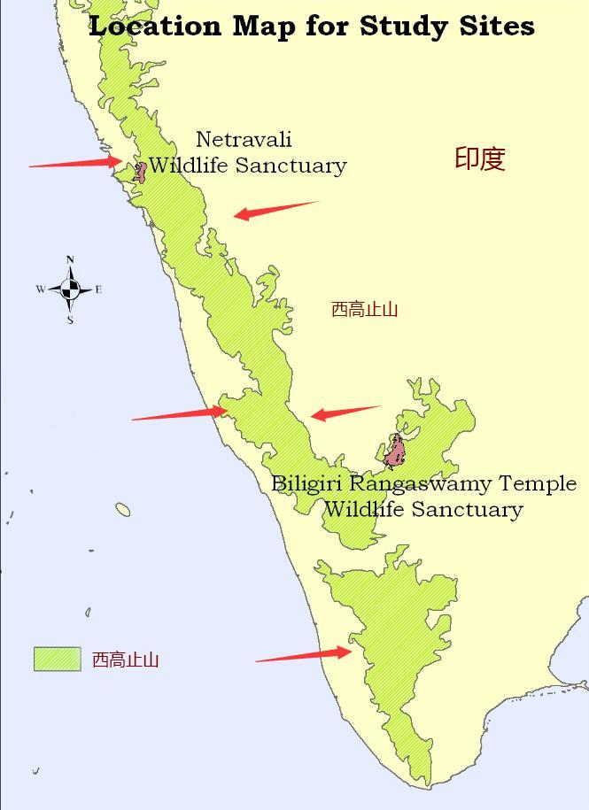 新媒體娛樂平臺(tái)如何平衡觀眾內(nèi)容多樣性,創(chuàng)新路徑協(xié)作優(yōu)化_尊貴版06.13.91