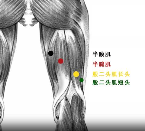 常見(jiàn)健身誤區(qū)及避免方法的健康建議,全局化鏈?zhǔn)劫Y源優(yōu)化方案_超越未來(lái)60.96.19