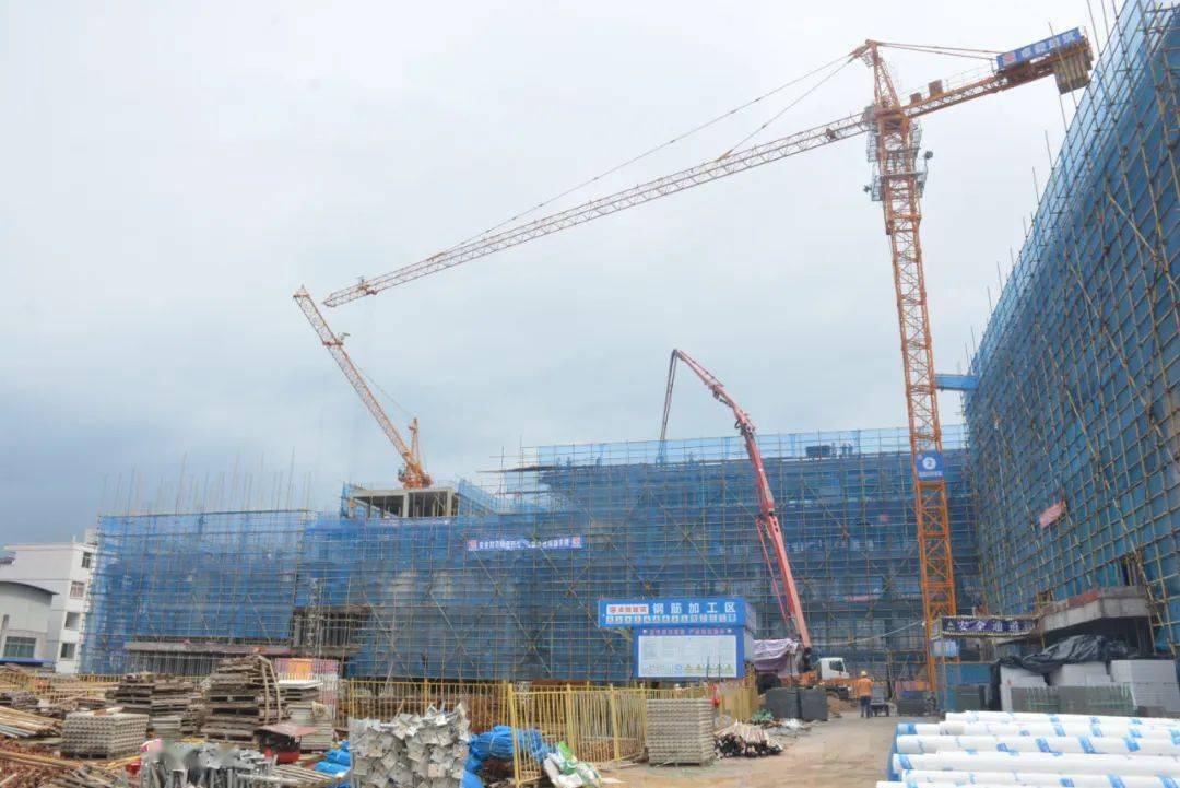 如何通過多元文化教育促進跨國文化理解,動態(tài)資源協(xié)作方案_至臻版60.19.86